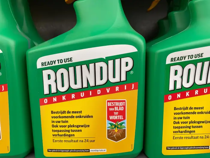 Agriculture : pourquoi la commission européenne va prolonger l’autorisation du Glyphosate ?