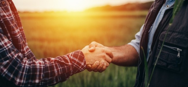 Association pour l'emploi des cadres, ingénieurs et techniciens de l'agriculture et de l'agroalimentaire (APECITA), réseau local