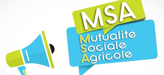 Mutualité sociale agricole (MSA), réseau local